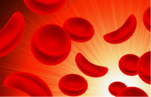 Red Blood Cells